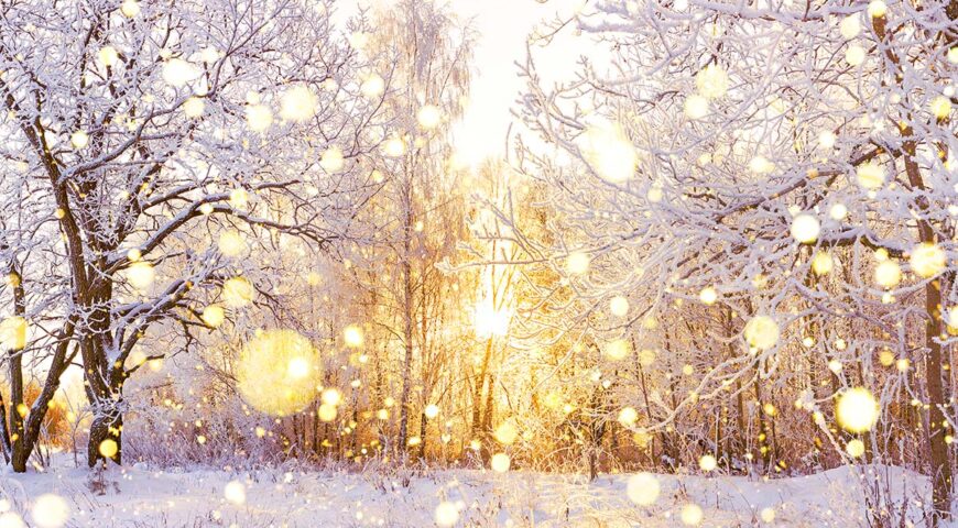 Let There Be Light: Sensitivity to Winter Holidays
