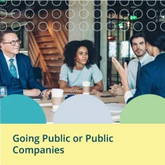 Syntrio Engage Collections - Going Public or Public Companies